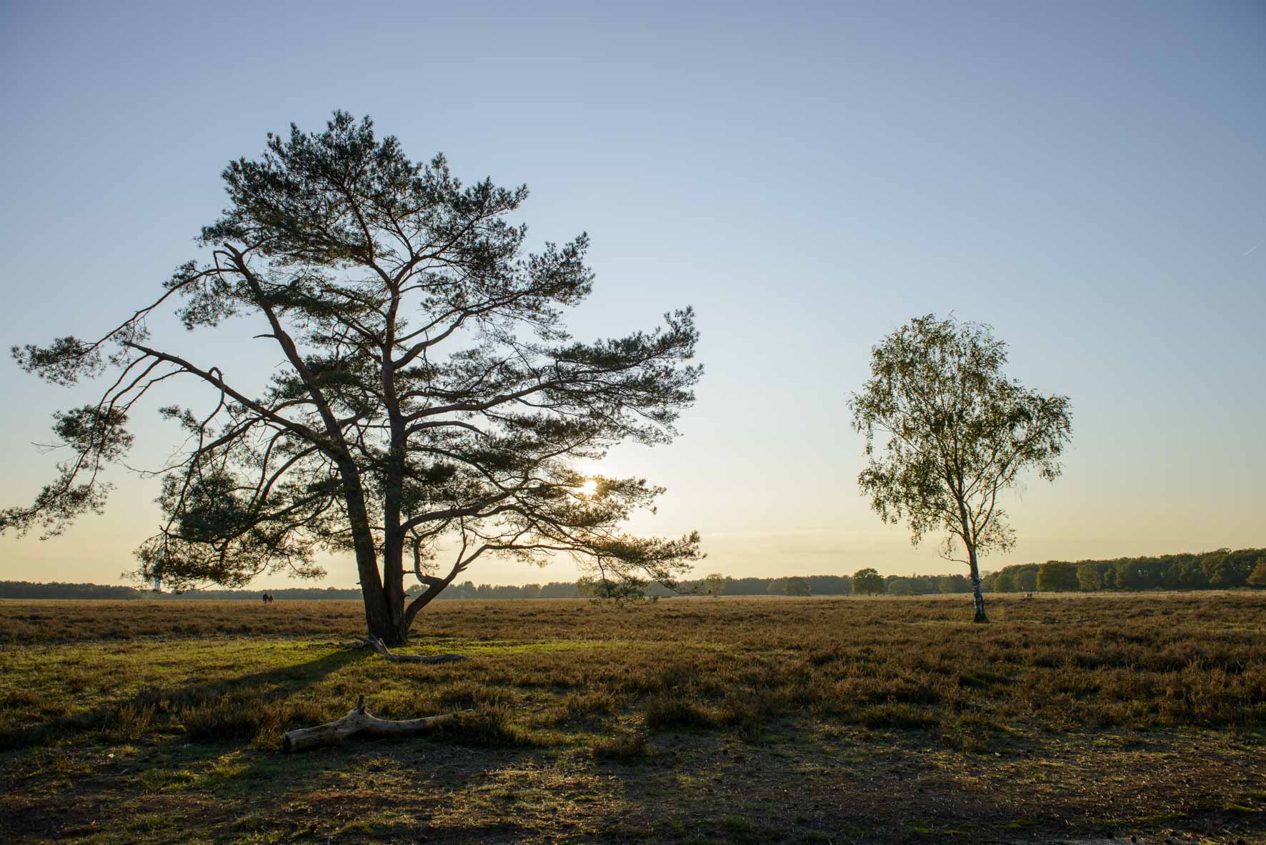 heide bussum